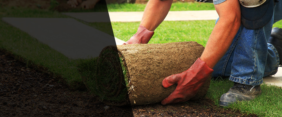 Shortsville Landscapers